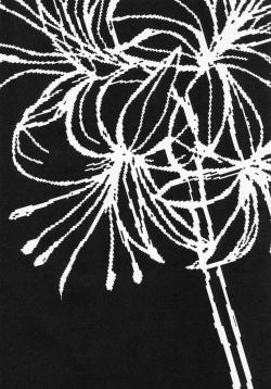 Page 3 of Sassuga~ Eiki-sama wa Hanashi ga Wakaru!