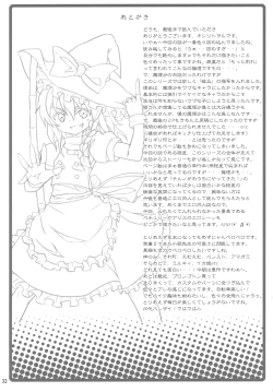 Page 31 of Kirisame Marisa no Yuuutsu