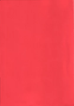 Page 2 of Ryoukiteki na Kanojo