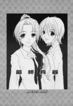 Page 3 of Saishuu Heiki