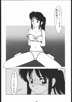 Page 65 of Oooka Nan DemoｰR