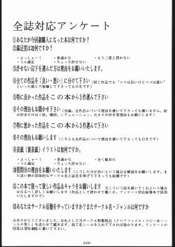 Page 228 of Gokenin Nan Demo-R