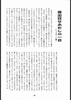 Page 35 of だめです。