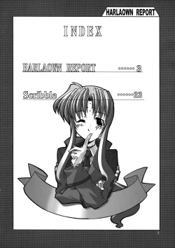 Page 4 of HARLAOWN REPORT