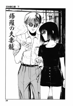 Page 26 of Sho Taiken Hakusho