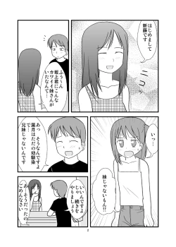 Page 3 of DAISUKI! Onii-chan