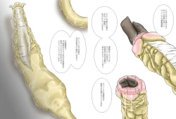 Page 19 of P045-02 Vanis Report
