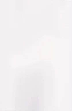 Page 43 of Koumakan Harem Route