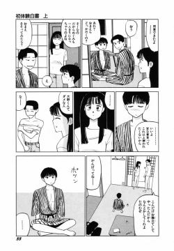 Page 36 of Sho Taiken Hakusho Joukan