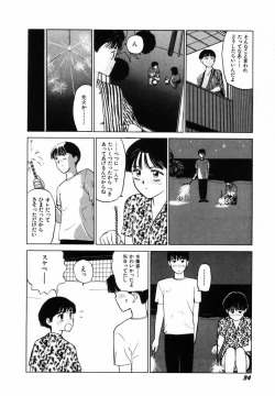 Page 37 of Sho Taiken Hakusho Joukan