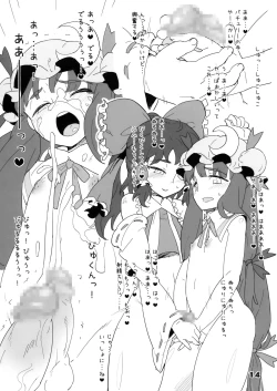 Page 14 of D.P.C.H.C.N.H. hon