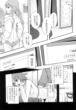 Page 16 of Nikubenki System Chronicle