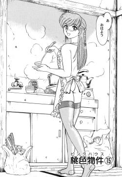 Page 29 of Pink House Vol.3