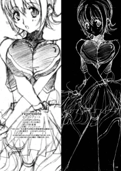 Page 17 of INCOMPLETE