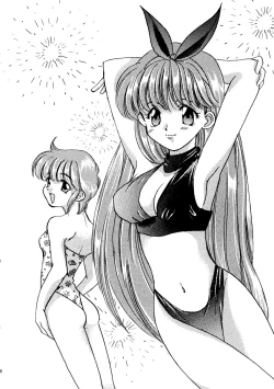 Page 17 of Tokimeki Memorial