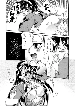 Page 21 of Sincron Maximum