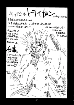 Page 26 of Sincron Maximum