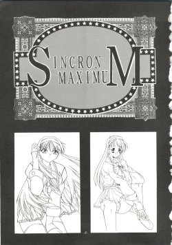 Page 2 of Sincron Maximum