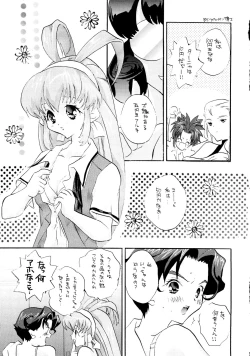 Page 4 of Special Undokai