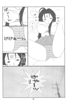 Page 41 of HOHETO 33