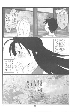 Page 43 of HOHETO 33