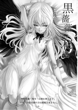 Page 2 of Kurobara no Himitsu