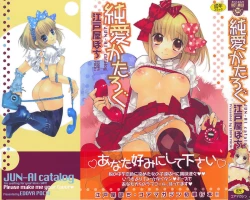 Page 1 of JUN-AI catalog