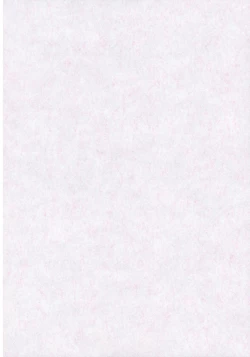 Page 2 of Deluxe Otonamuke Koumakan