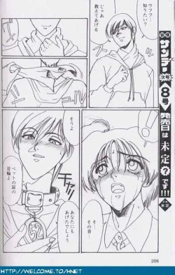 Page 207 of Shukan Seinen Sunday Special Edition