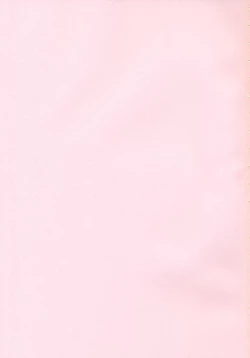 Page 4 of Sekaijuu ga I Love You