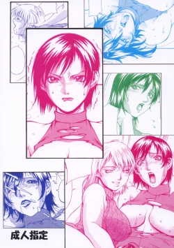 Page 28 of Ada Hazard