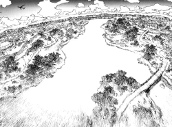 Page 339 of Becchin and Mandara