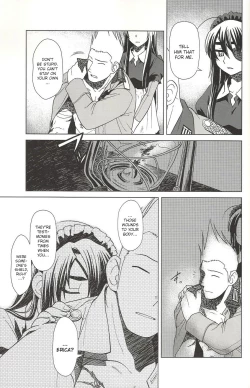 Page 29 of SS 3 Edelweiss