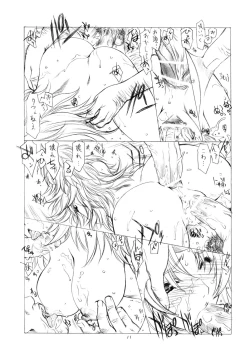 Page 11 of Queen's Blade Hon