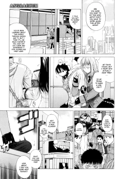 Page 146 of Angraecum