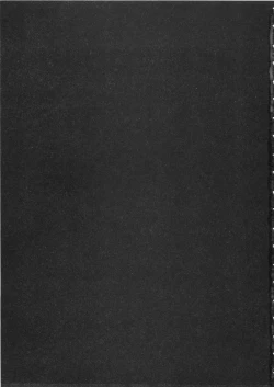 Page 4 of Shin Rape Vol  2