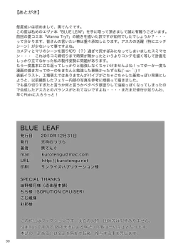 Page 29 of BLUE LEAF