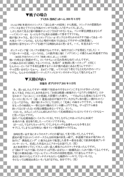 Page 149 of Aigan Megane