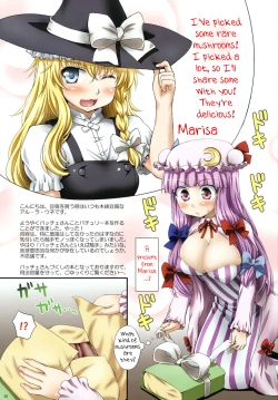 Page 3 of Oppatchouli to Marisa no Kinoko | Oh! Patchouli and Marisa's Mushrooms