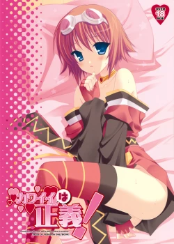 Page 19 of Kawaii wa Seigi!