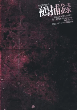 Page 30 of Gentou Tsuirakuroku 2 Nuehoroku