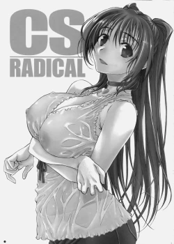 Page 3 of CS RADICAL