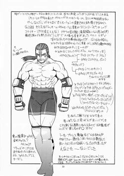 Page 29 of FIGHTERS GiGaMIX FGM vol.19