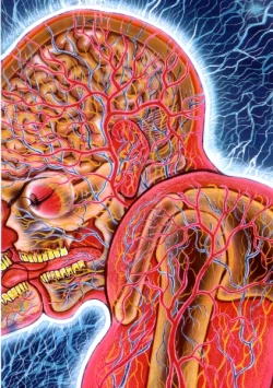 Page 36 of Grappler Baki SAGA