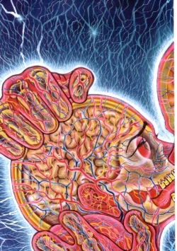 Page 37 of Grappler Baki SAGA