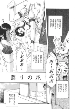 Page 113 of Shoujo Jigoku IV - The Mädchen Hölle IV