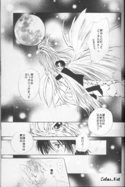 Page 13 of Spring Sonnet