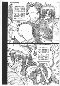 Page 4 of HAYATE FILE Maria Gazoushuu