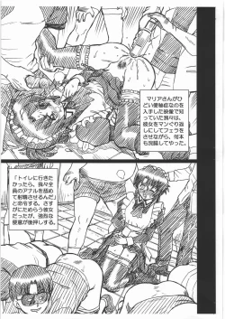 Page 5 of HAYATE FILE Maria Gazoushuu