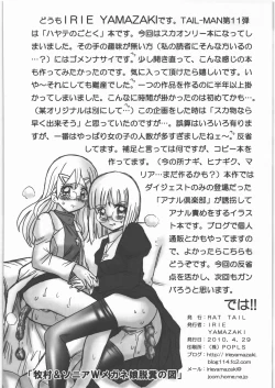 Page 33 of TAIL-MAN HAYATE BOOK
